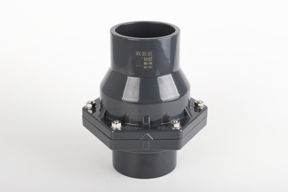 蒋场镇翻板式止回阀